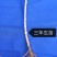 枸杞苗带刺枸杞苗产量高可做围墙当年结果适应性高