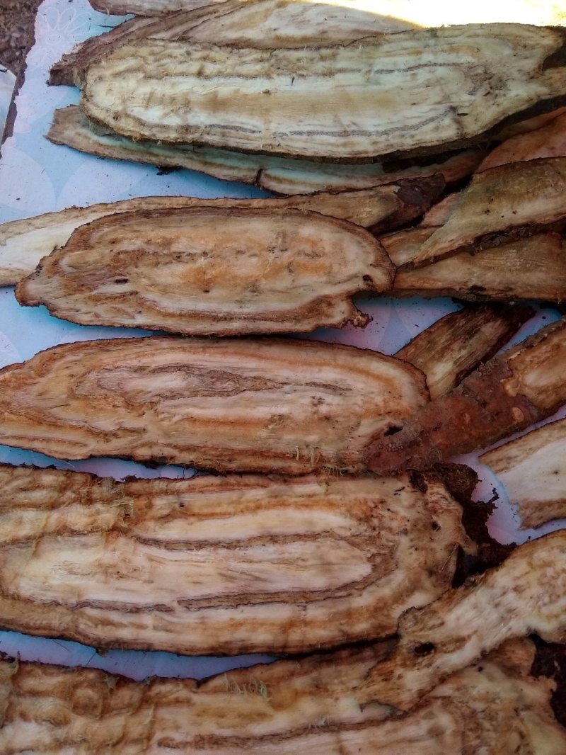 野生葛根干片，可以当茶泡饮