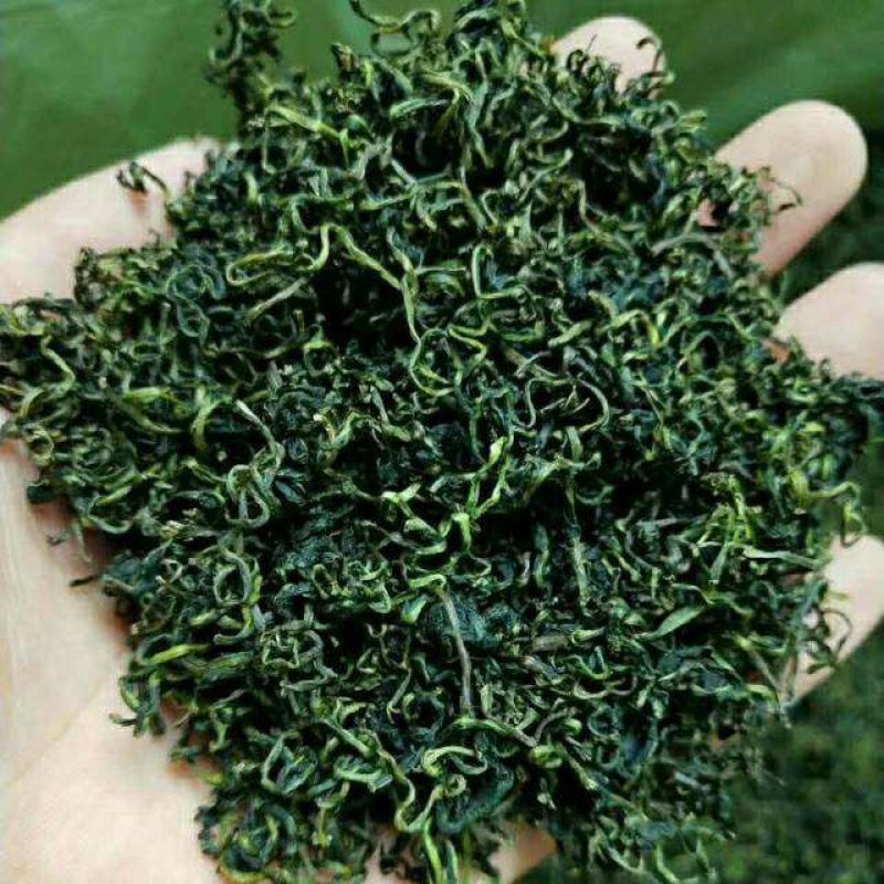 蒲公英茶，婆婆丁茶2020年全新新货，产地直发～跑量中
