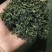 蒲公英茶，婆婆丁茶2020年全新新货，产地直发～跑量中