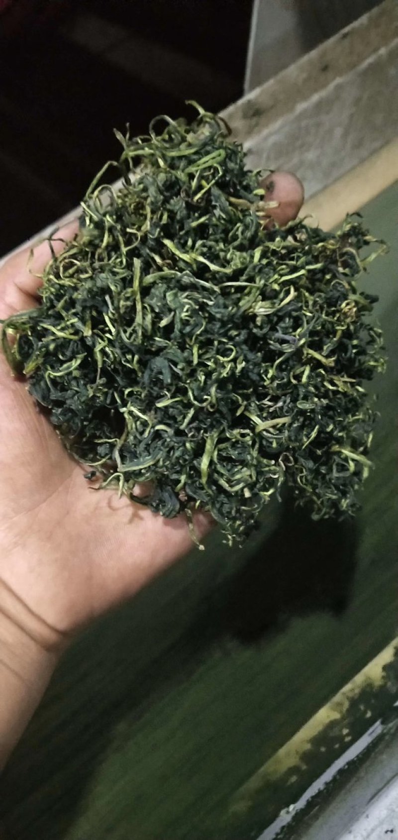 蒲公英茶，婆婆丁茶2020年全新新货，产地直发～跑量中