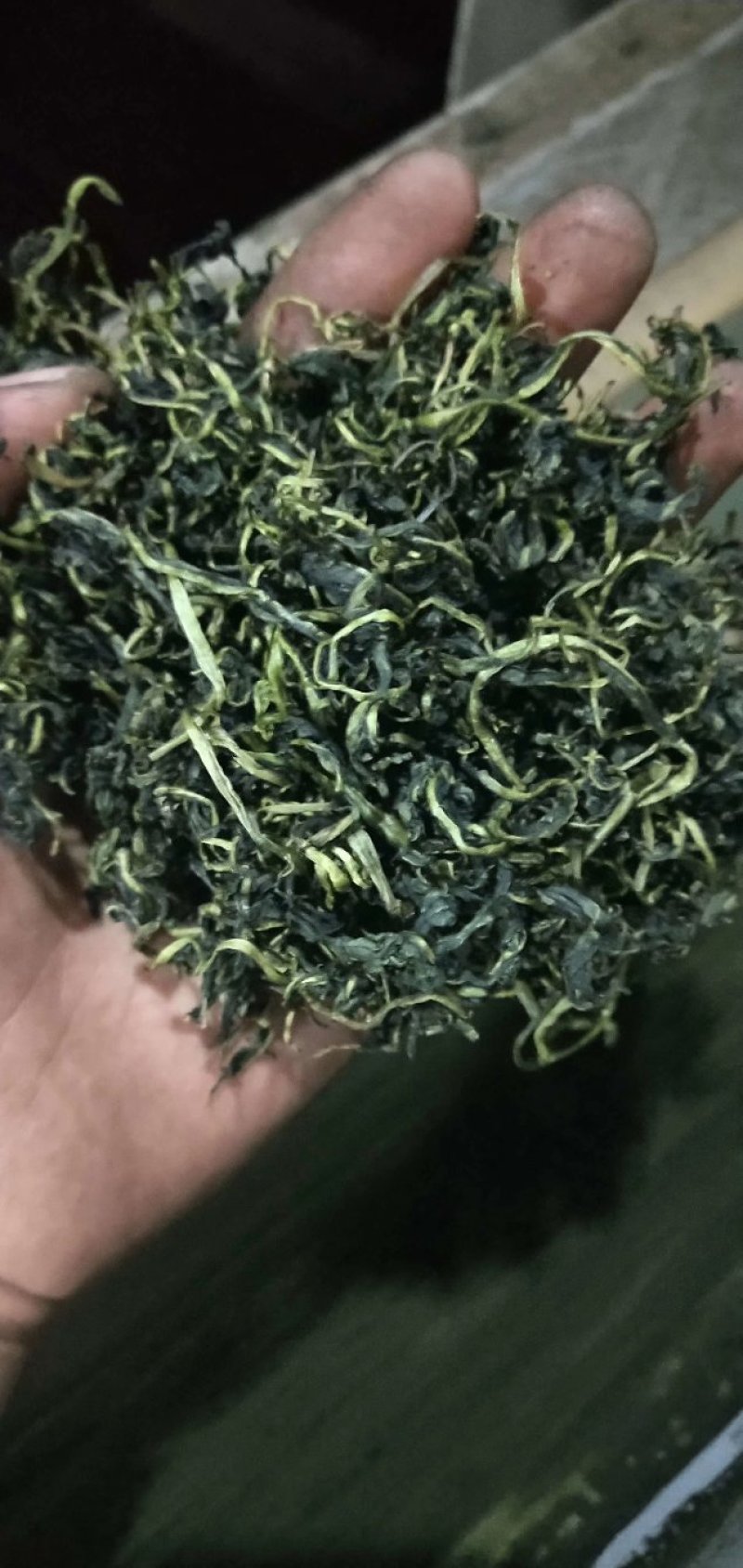 蒲公英茶，婆婆丁茶2020年全新新货，产地直发～跑量中