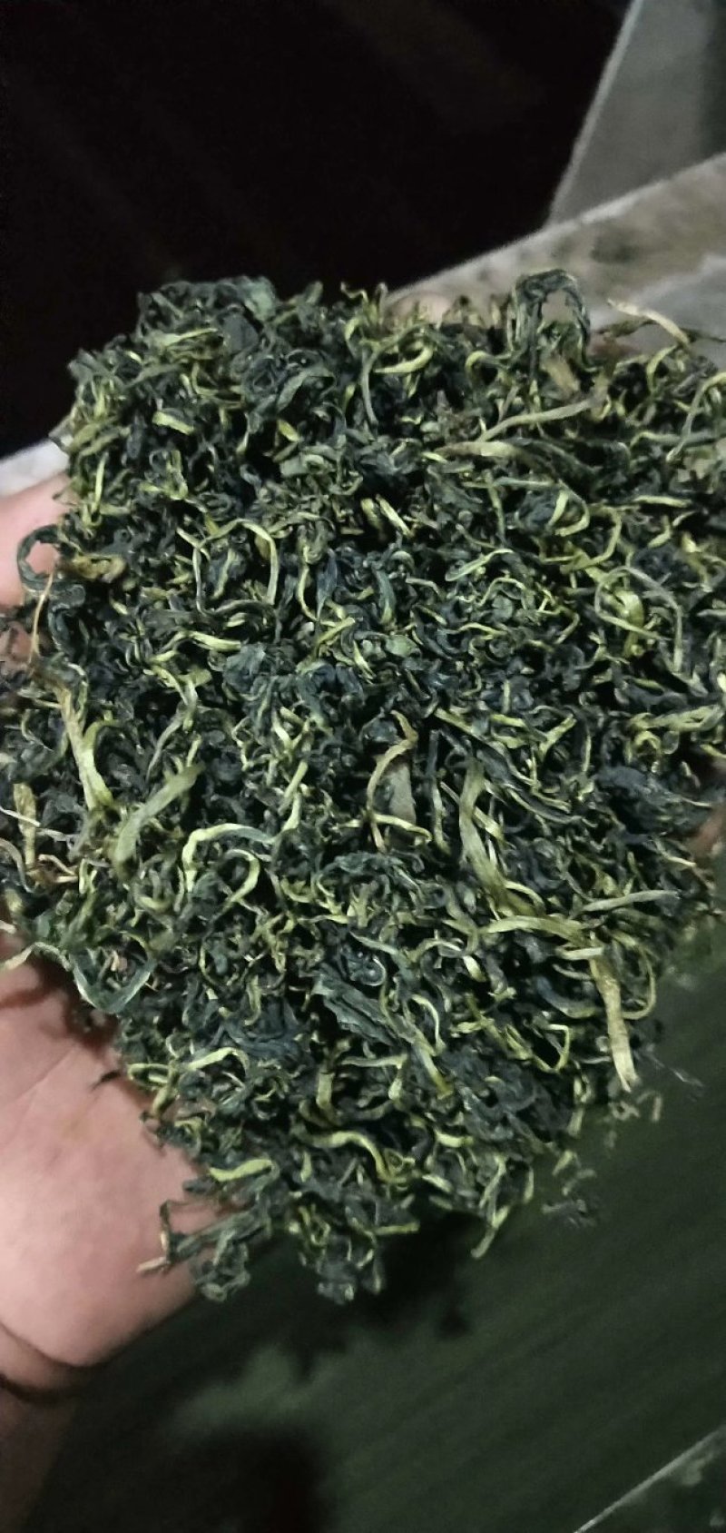 蒲公英茶，婆婆丁茶2020年全新新货，产地直发～跑量中