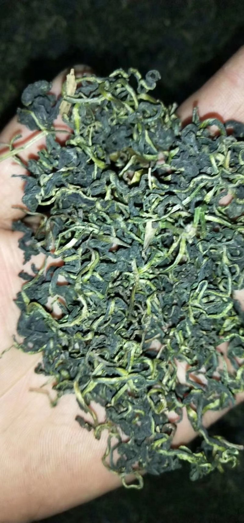 蒲公英茶，婆婆丁茶2020年全新新货，产地直发～跑量中