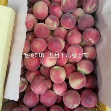 毛桃湖北枣阳露天优质毛桃中国桃之乡品种齐全