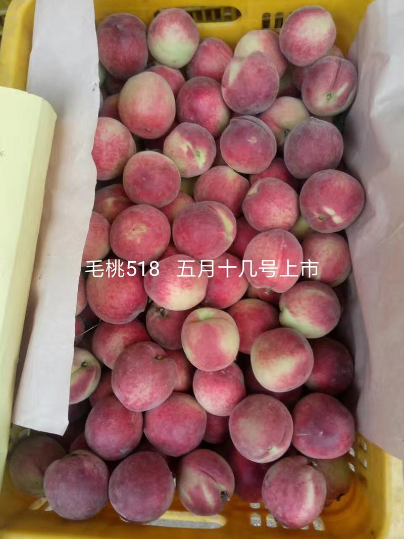 毛桃湖北枣阳露天优质毛桃中国桃之乡品种齐全
