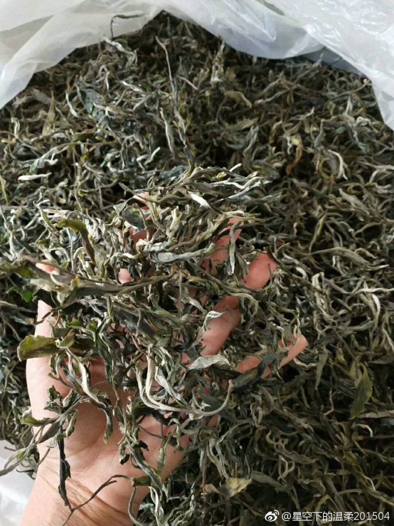 茶叶