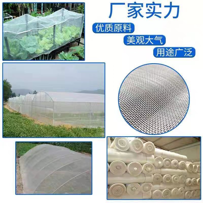 防虫网蔬菜大棚果树专用防虫网加厚40目60目80目青蛙蝗