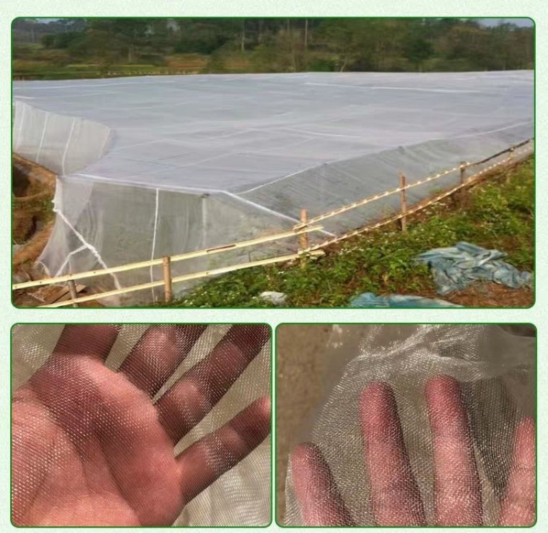 防虫网蔬菜大棚果树专用防虫网加厚40目60目80目青蛙蝗