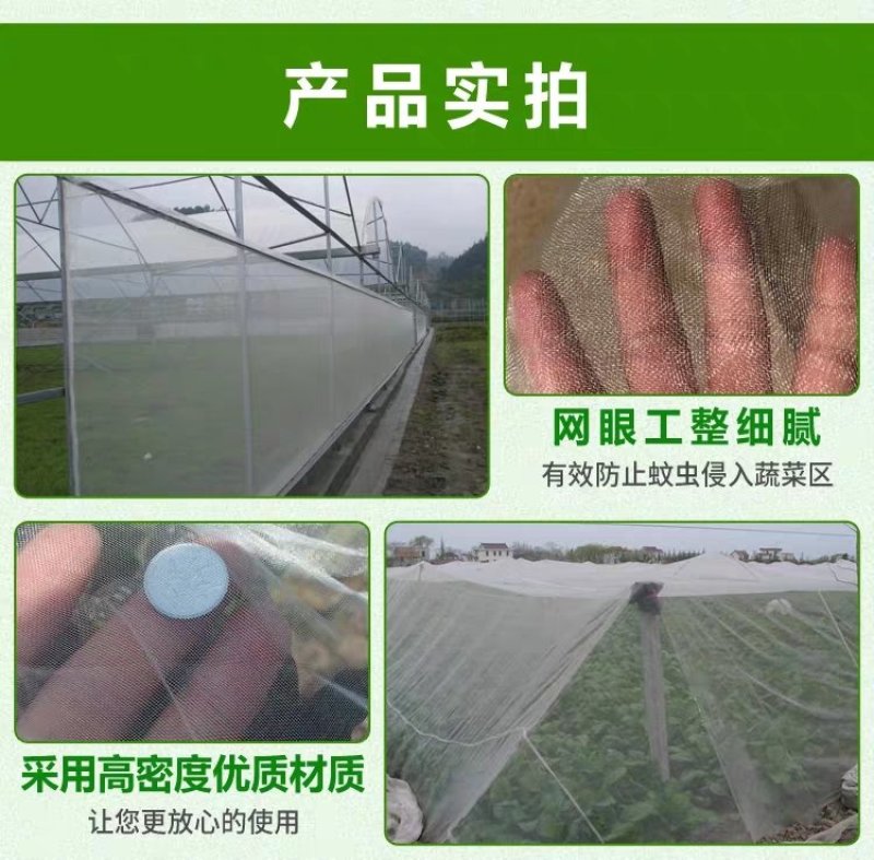 防虫网蔬菜大棚果树专用防虫网加厚40目60目80目青蛙蝗