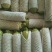 【荐】河北永年本地西葫芦绿皮西葫芦颜色绿质量好产地直发