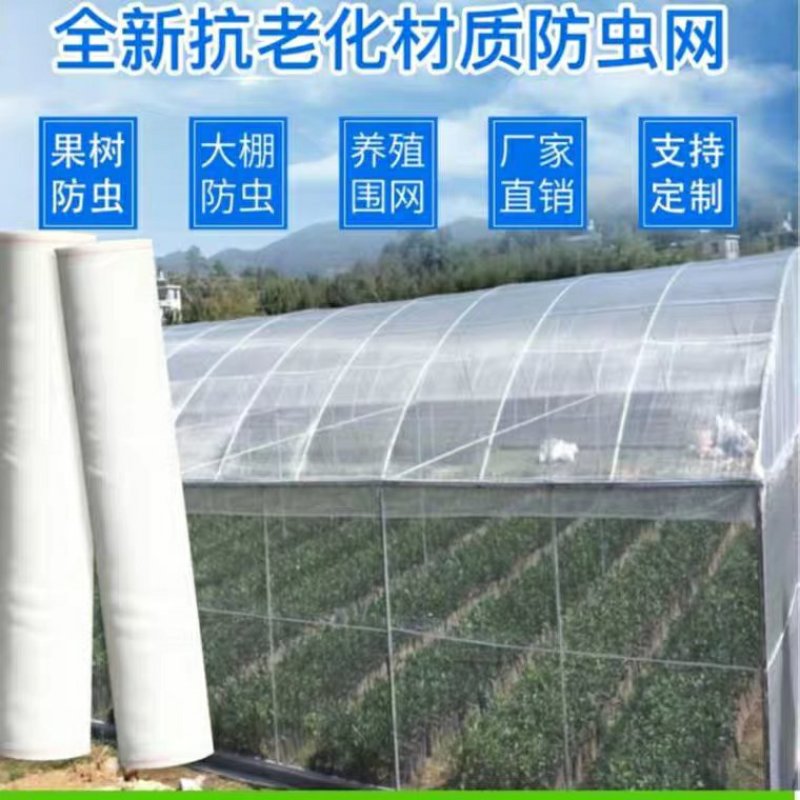 防虫网大棚蔬菜果树果园尼龙防虫纱网青蛙养殖围网40目60