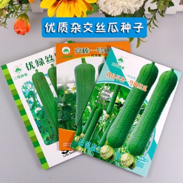 高产丝瓜种子极早熟杂交耐老长棒绿皮乳白肉鲜嫩味甜丰产春秋