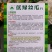 高产丝瓜种子极早熟杂交耐老长棒绿皮乳白肉鲜嫩味甜丰产春秋