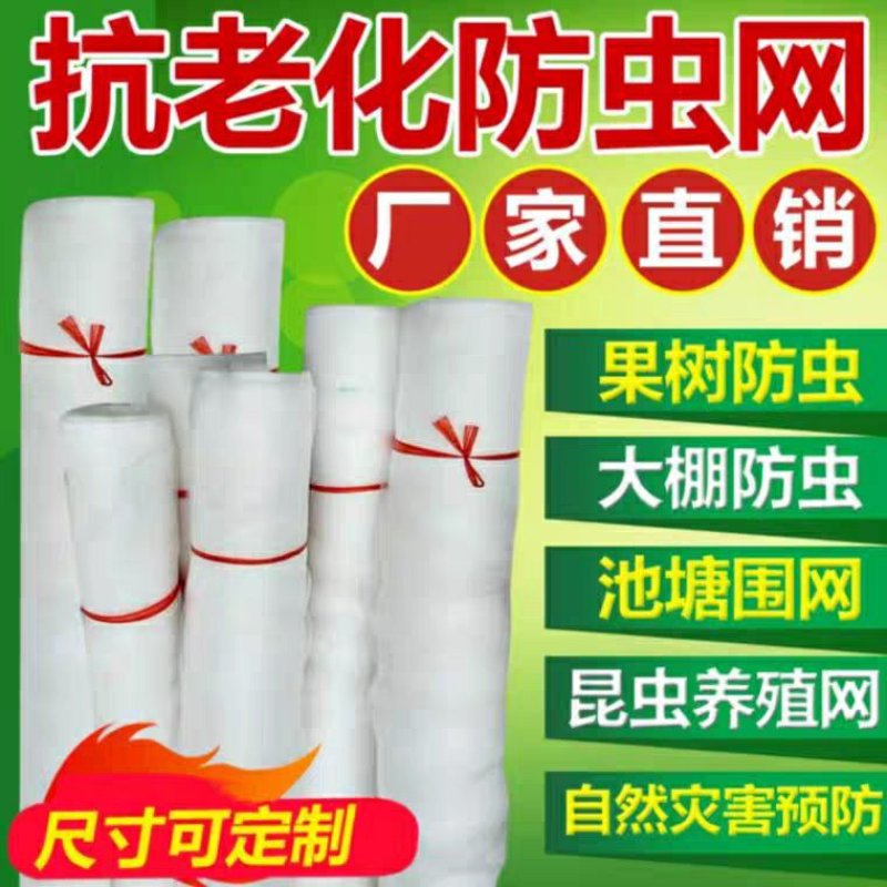 防虫网大棚专用加厚蔬菜40目60目80目农用果树尼龙网罩