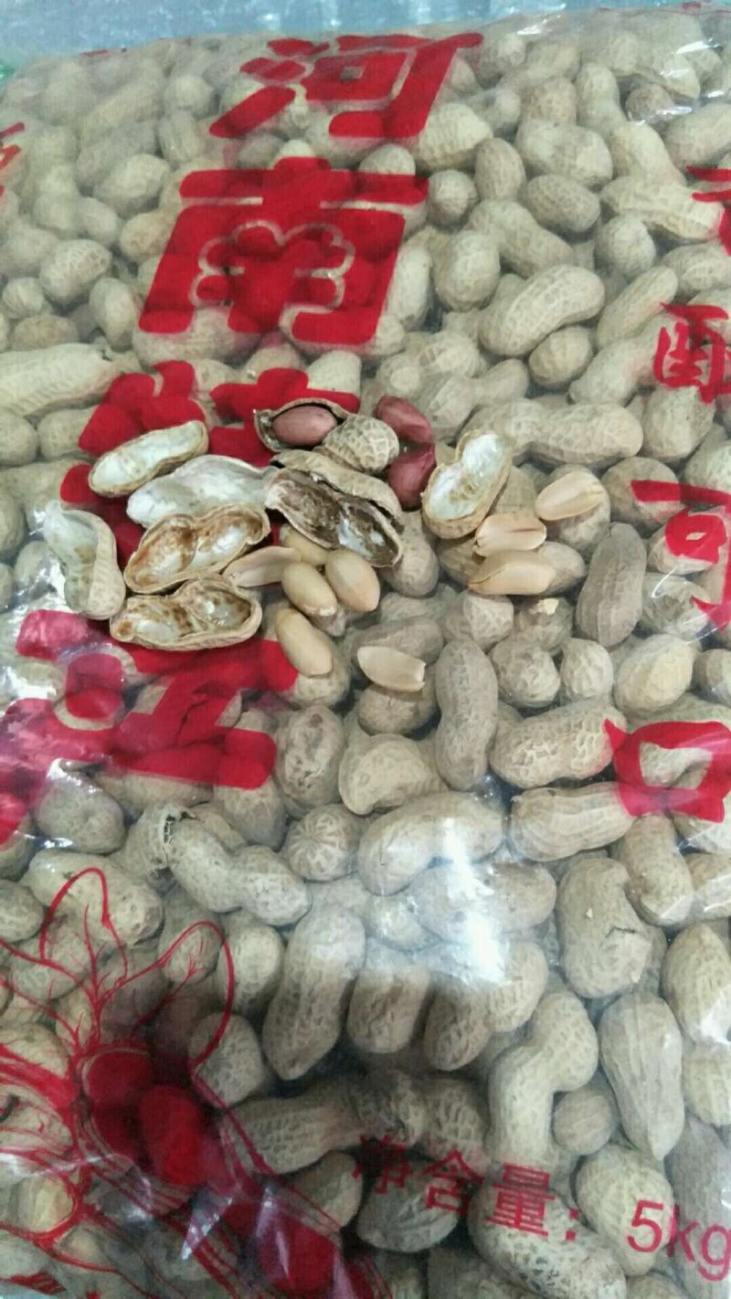 带壳生花生，大花生，满粒花生，凉菜花生，一件代发