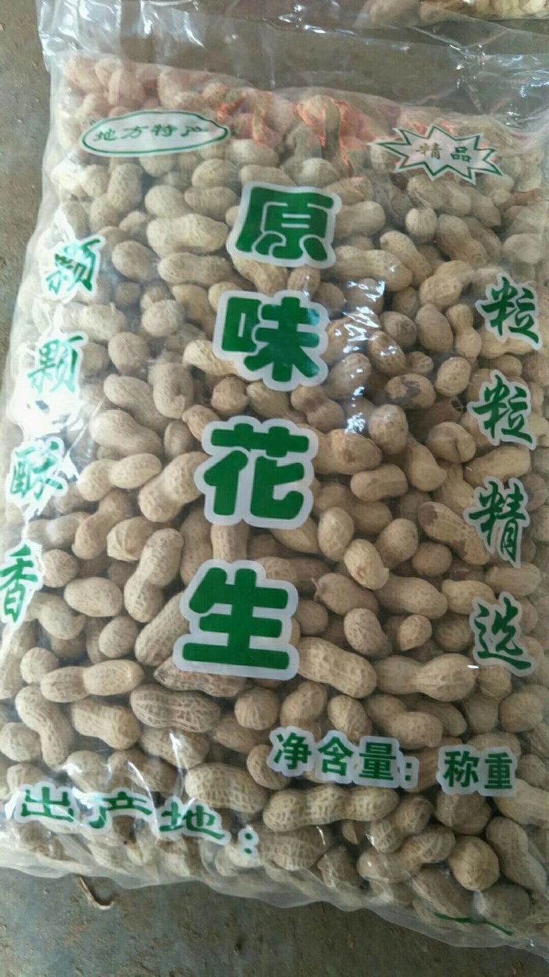 带壳生花生，大花生，满粒花生，凉菜花生，一件代发