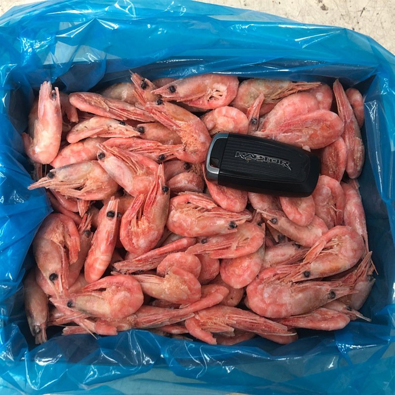 无黑头大号北极虾、头腹籽北极熊北极甜虾刺身甜虾5斤装包邮