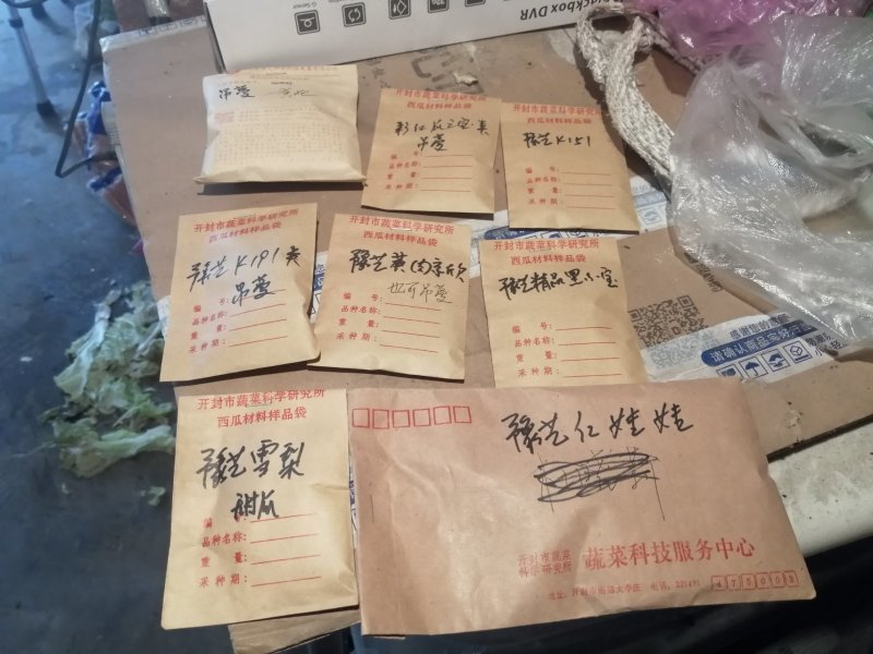 西瓜种子
