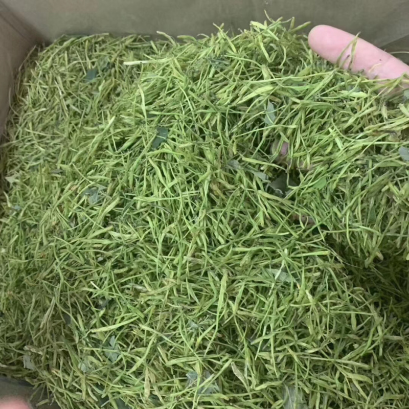 金银花