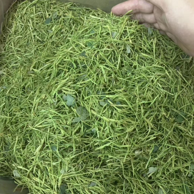 金银花