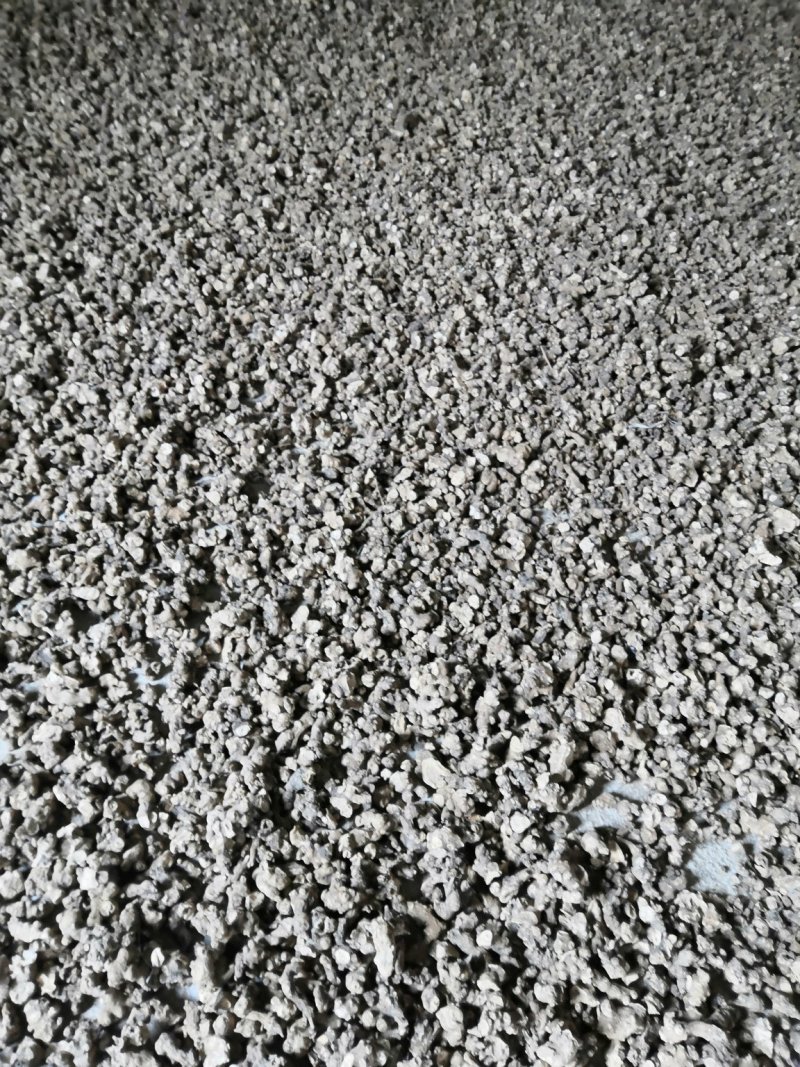 南苍术