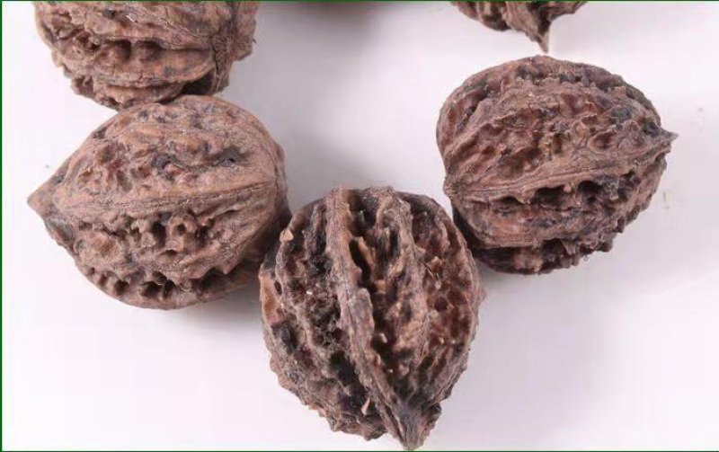 山核桃种子薄皮纸皮核桃种子胡桃羌桃种子种植文玩核