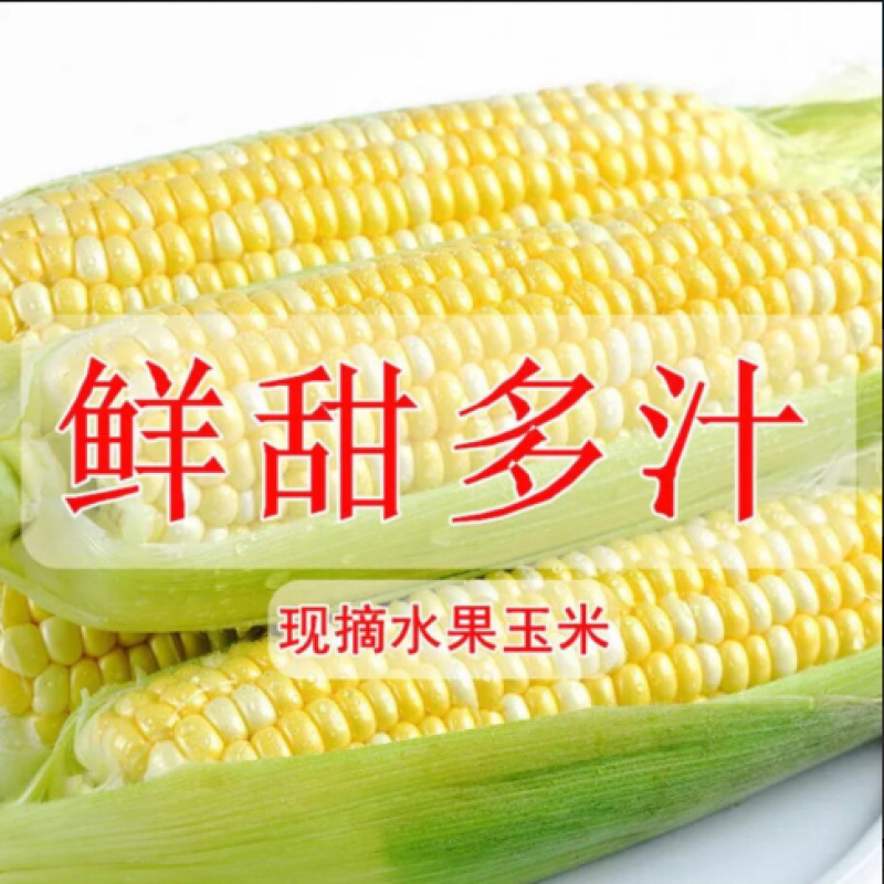 云南生吃水果玉米新鲜应季甜玉米蔬菜糯玉米现货包邮