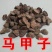 马甲子种子马甲子树种籽