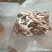野生菌鸡枞菌，新鲜货，支持快递，偏远地方先咨询在下单！