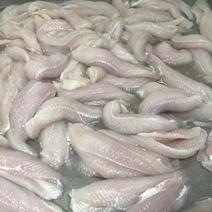 越南进口龙利鱼龙利鱼柳巴沙鱼酸菜鱼、烤鱼饭专用