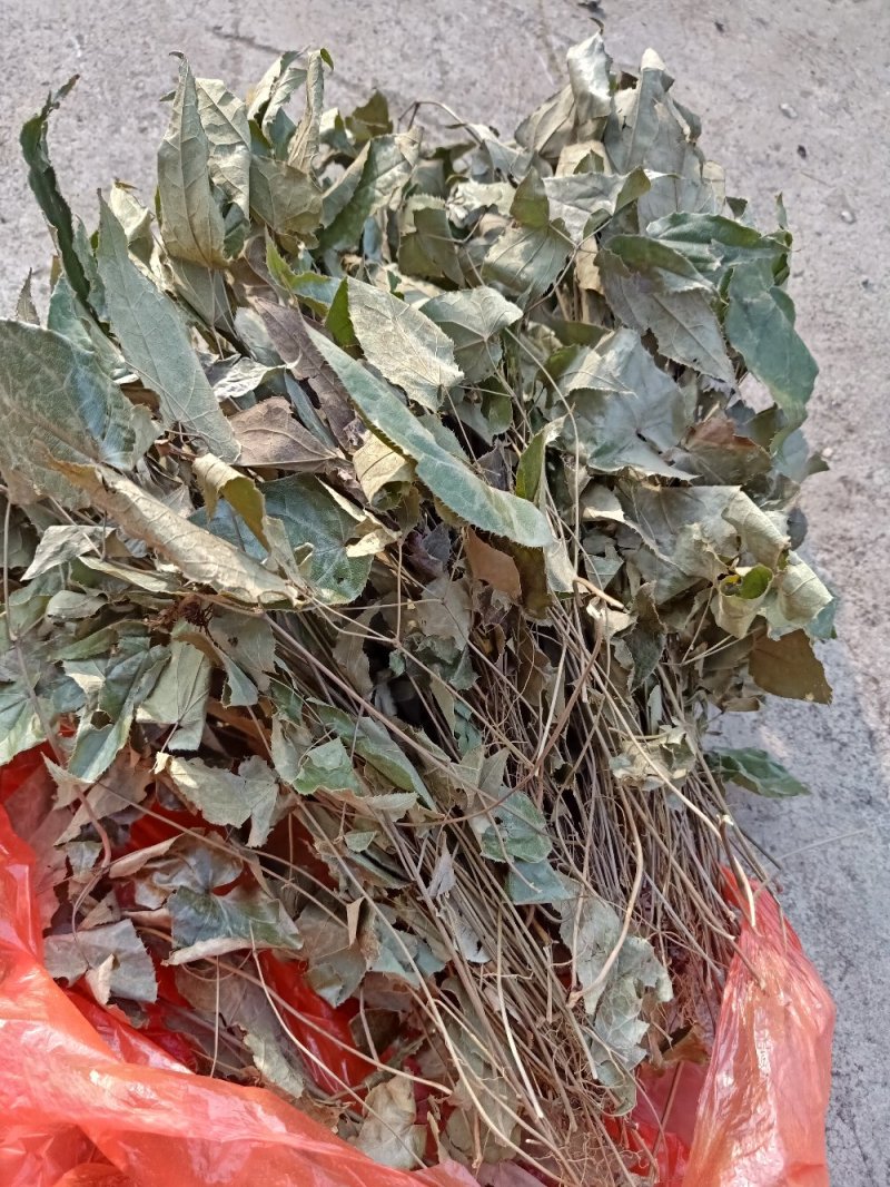 淫洋霍(全草类，茎叶类，根类，大叶子，细叶子类)