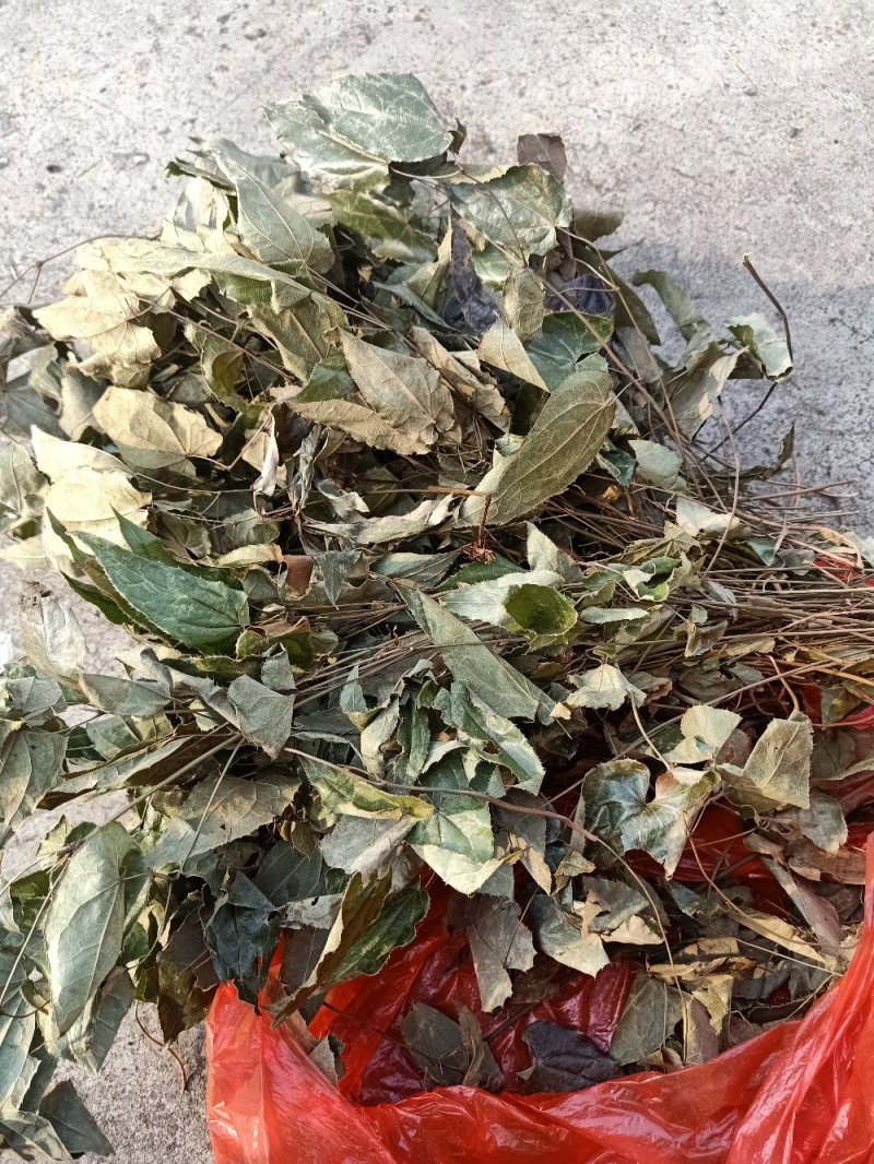 淫洋霍(全草类，茎叶类，根类，大叶子，细叶子类)