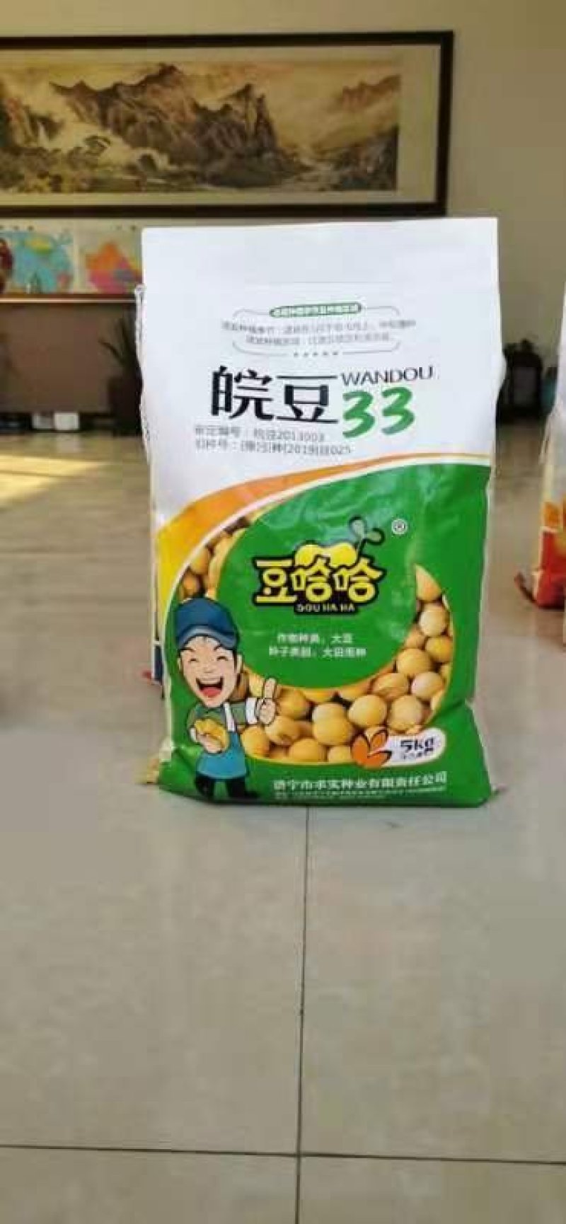 大豆种子