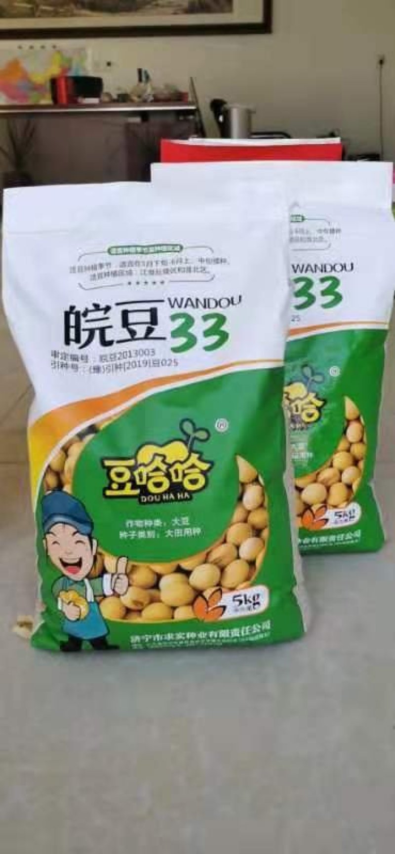 黄豆种子