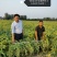 粮油种子黄豆种子