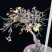 迎春花苗迎春花盆景。迎春花大型垂吊爬藤植物。