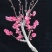 梅花盆景，乌梅红梅宫粉绿梅等