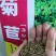 小米草龙虾草水草养殖龙虾螃蟹鱼虾都可食用牧草水草