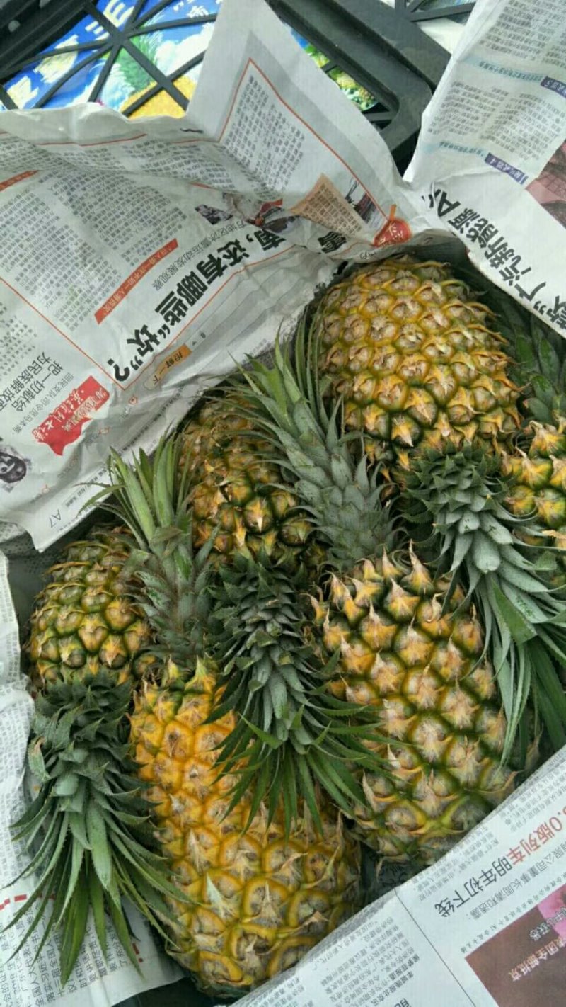 菠萝