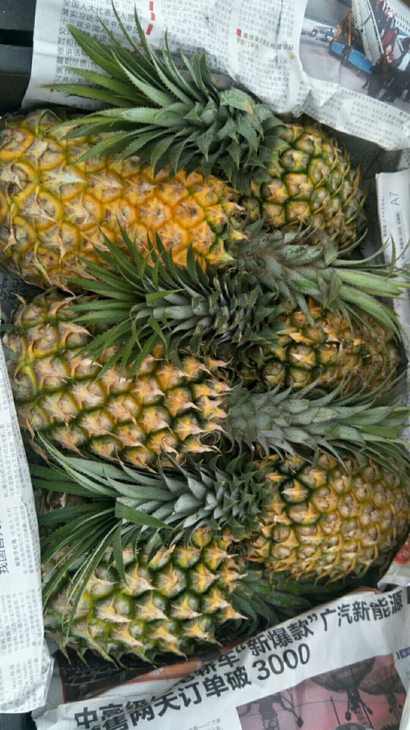 菠萝