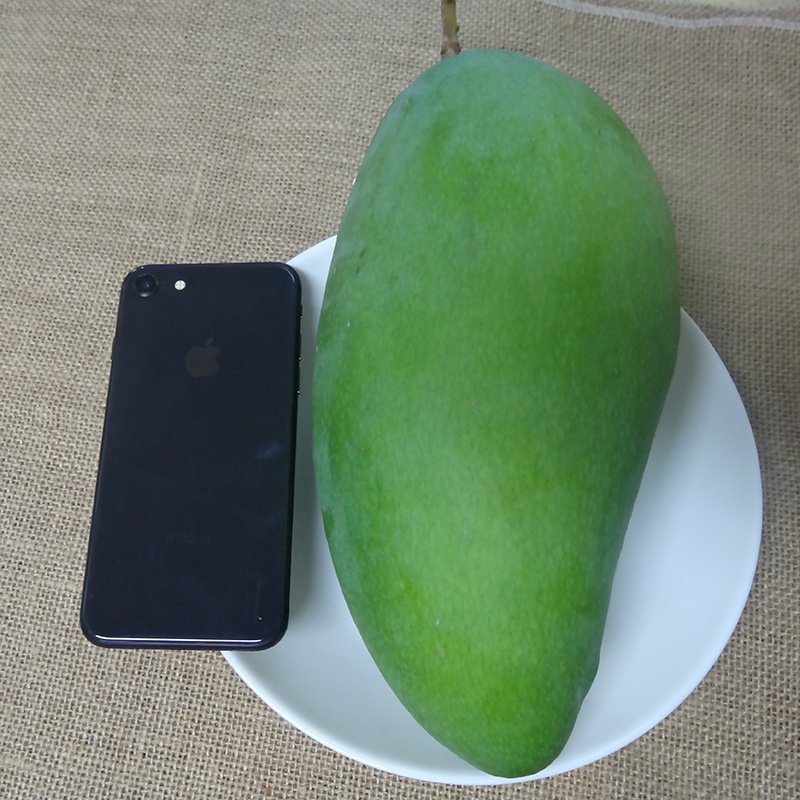 【聚便宜】新品越南芒果大青芒9斤装青皮芒肉厚多汁新鲜