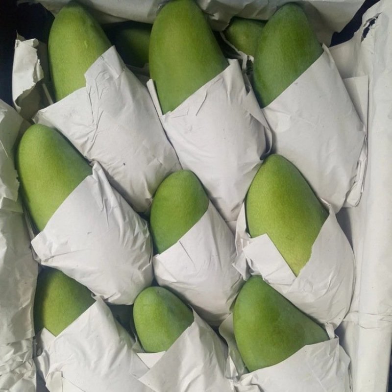 【聚便宜】新品越南芒果大青芒9斤装青皮芒肉厚多汁新鲜