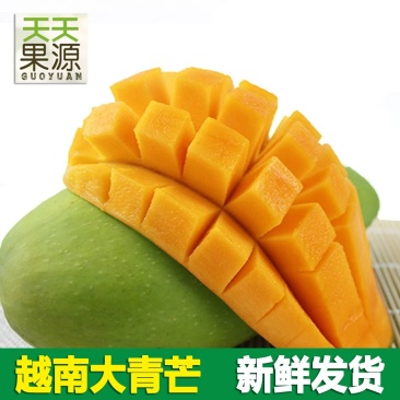 【聚便宜】新品越南芒果大青芒9斤装青皮芒肉厚多汁新鲜