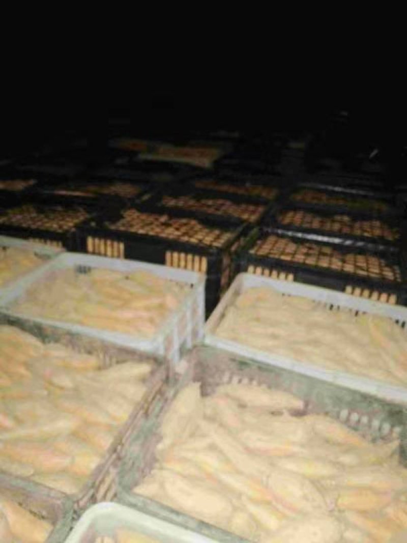 疫情之下，贵州紫云红薯种4万斤，精品红薯6万斤，急寻老板