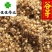 谷芽生谷芽芽多新货另有炒谷芽产地直销