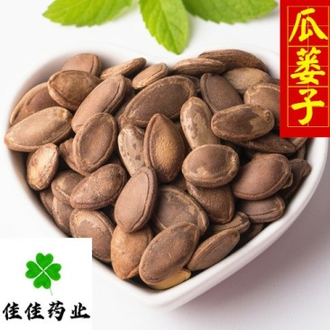 瓜蒌子新货颜色好选货瓜蒌籽无虫蛀