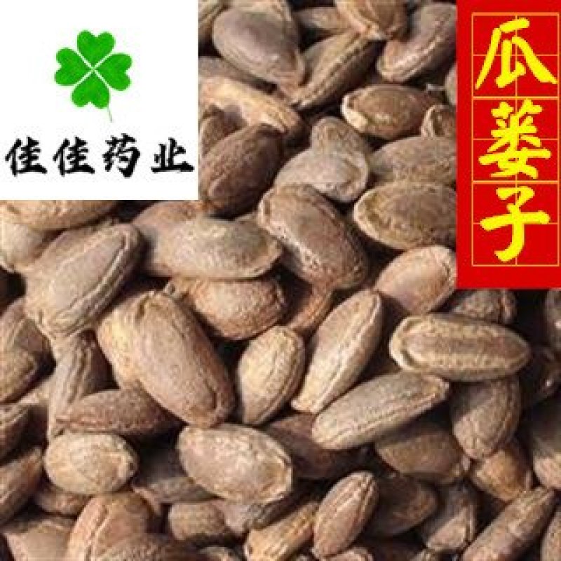 瓜蒌子新货颜色好选货瓜蒌籽无虫蛀