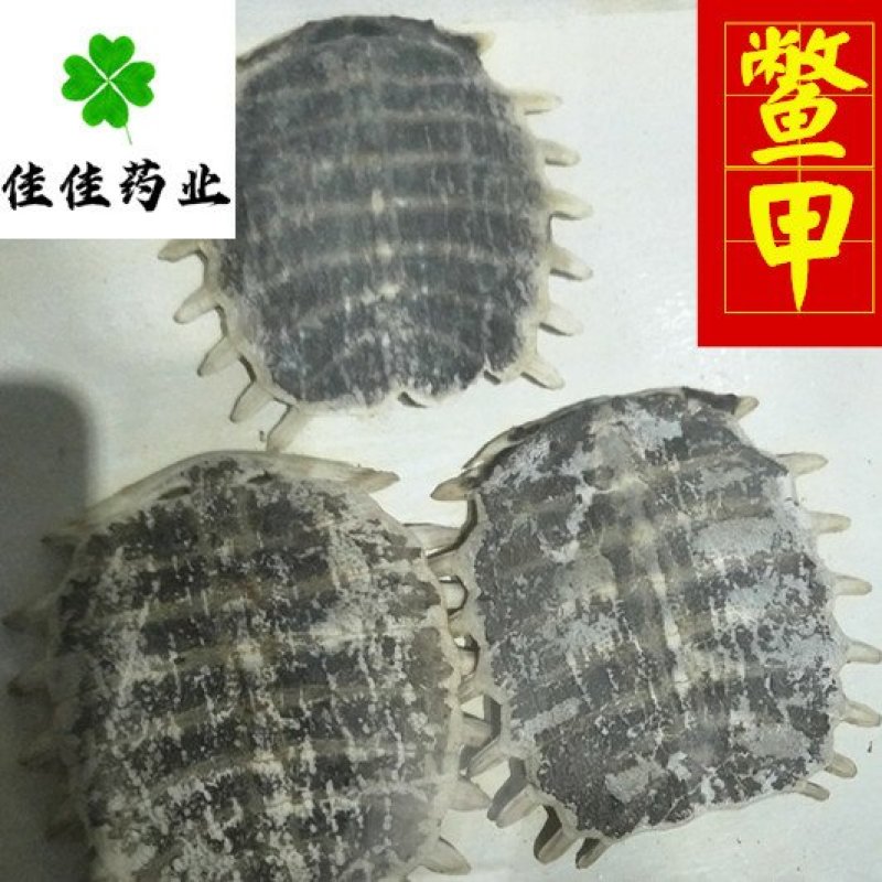 正品生鳖甲干净甲鱼壳选货另有炒鳖甲供应各种中药