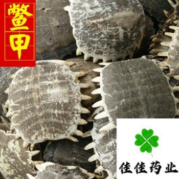正品生鳖甲干净甲鱼壳选货另有炒鳖甲供应各种中药